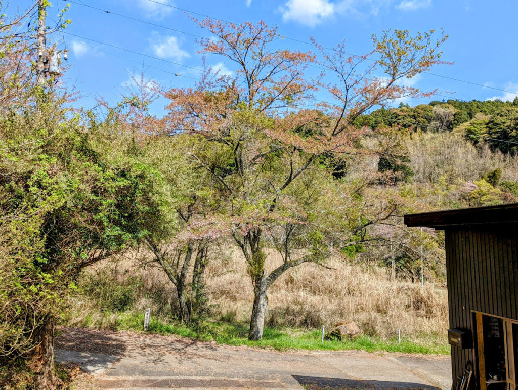 PXL_20230403_003703479_3-1024x771 大谷さん！凄い！！今季初HR！