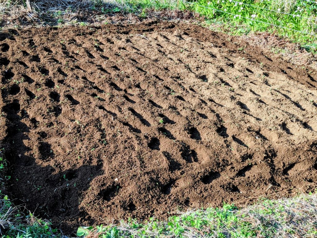 PXL_20230403_071823074.PORTRAIT.ORIGINAL_2-1024x771 大谷さん！凄い！！今季初HR！