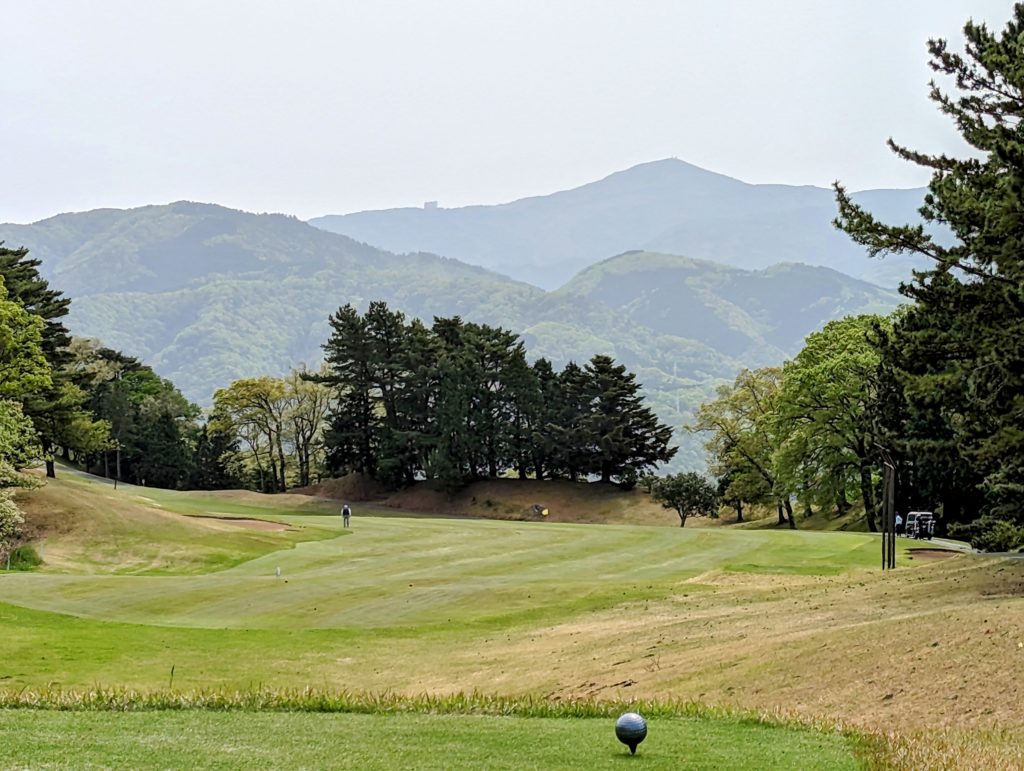 PXL_20230414_0119028522-1024x771 恵みの雨