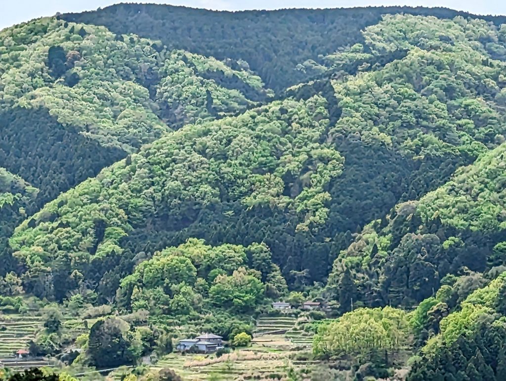 PXL_20230414_0256229733-1024x771 恵みの雨