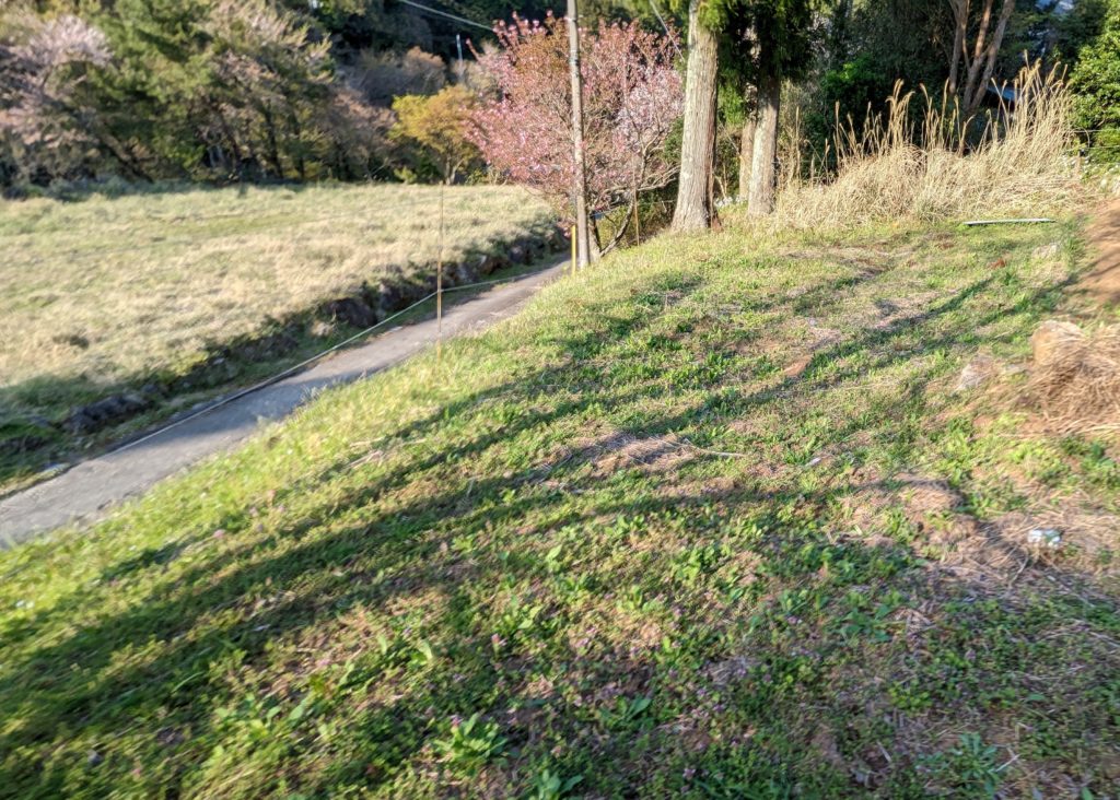 hatake-1024x732 大谷さん！凄い！！今季初HR！