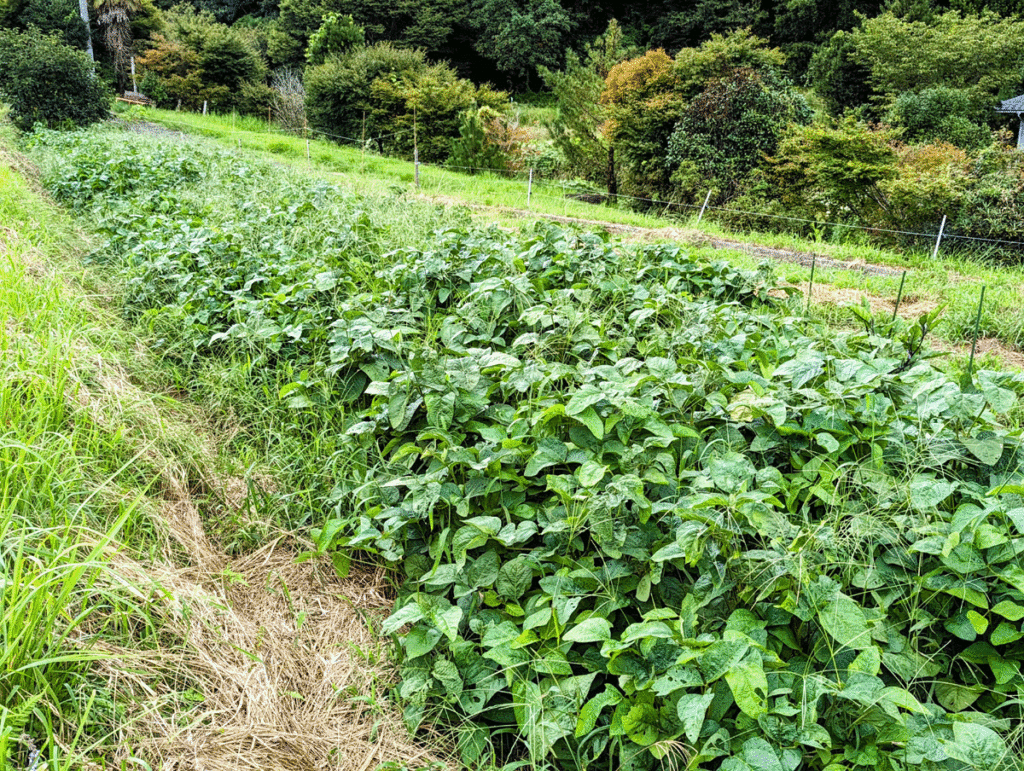 t2-1024x771 久しぶりの修善寺ベース