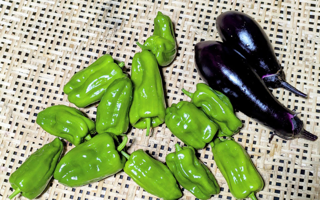 nasu-1024x640 秋雨