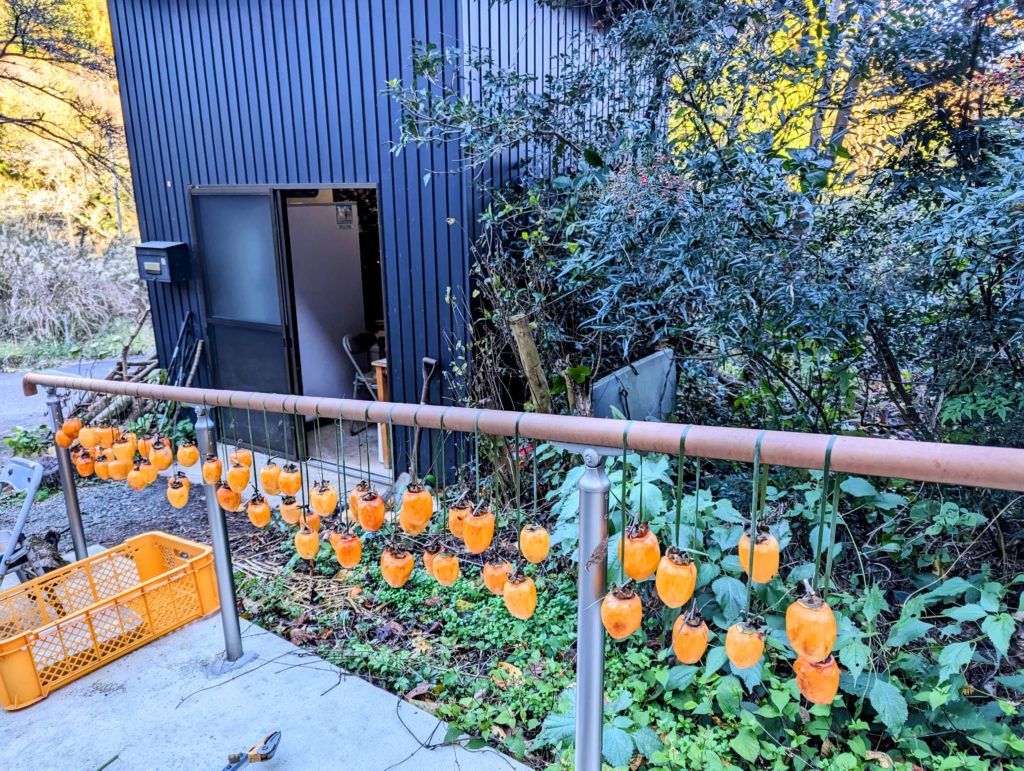 hosi-1-1024x771 干し柿