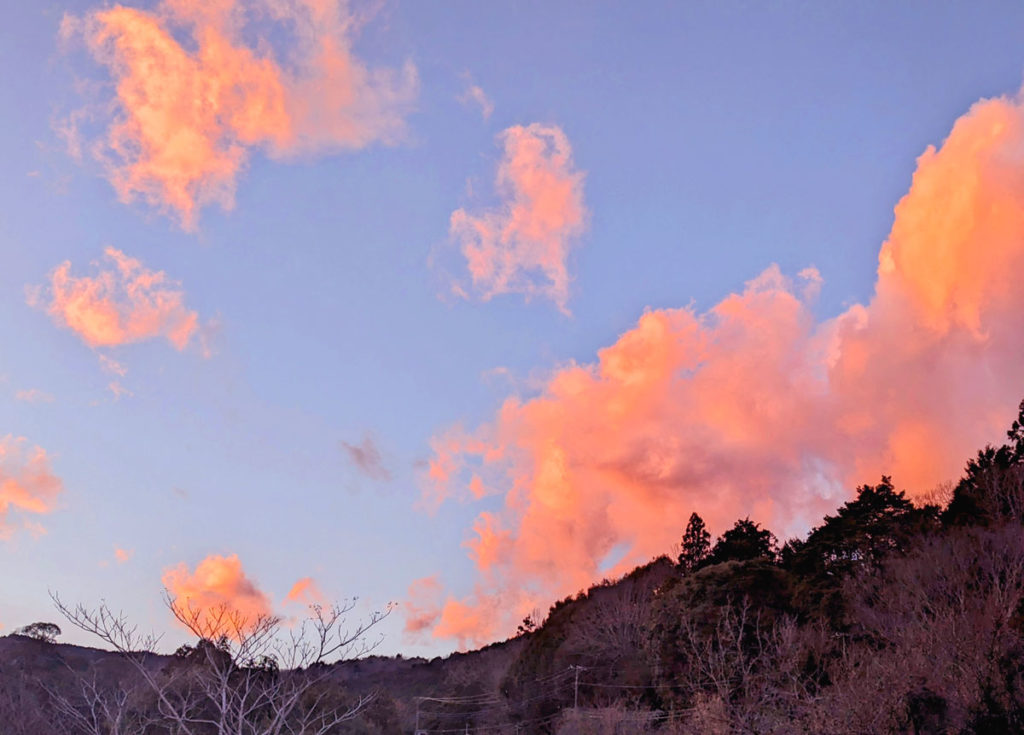 PXL_20240124_0802537352-1024x735 上には凄い上がいた!