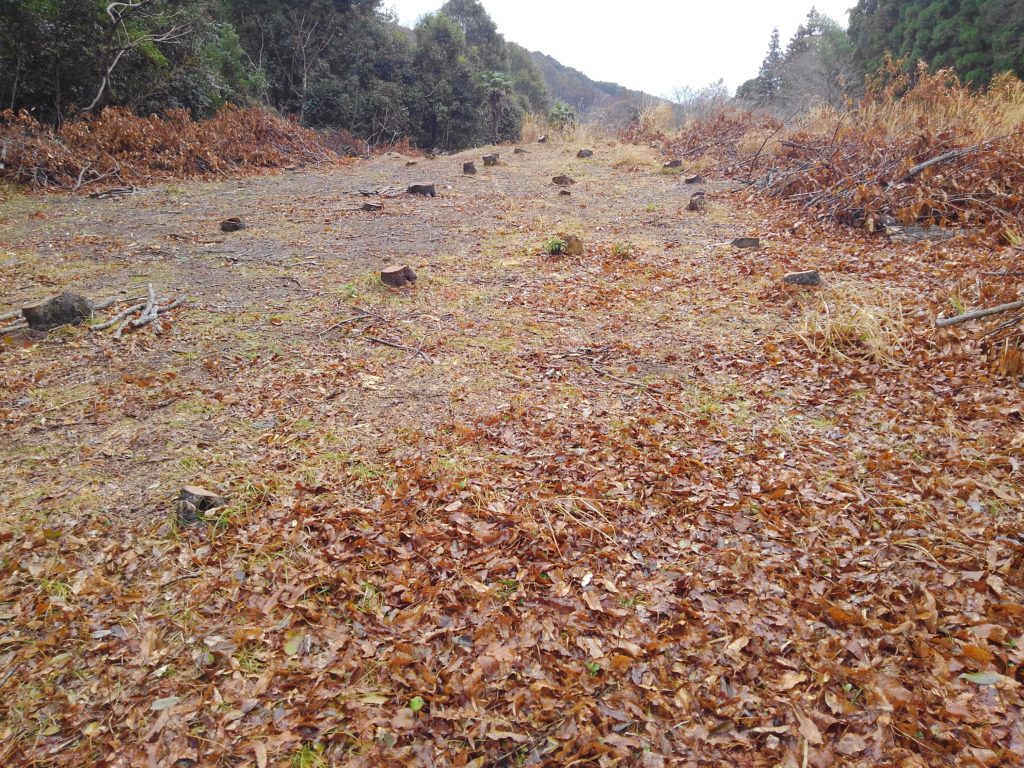 maki1-1024x768 春雨じゃ濡れて参ろう