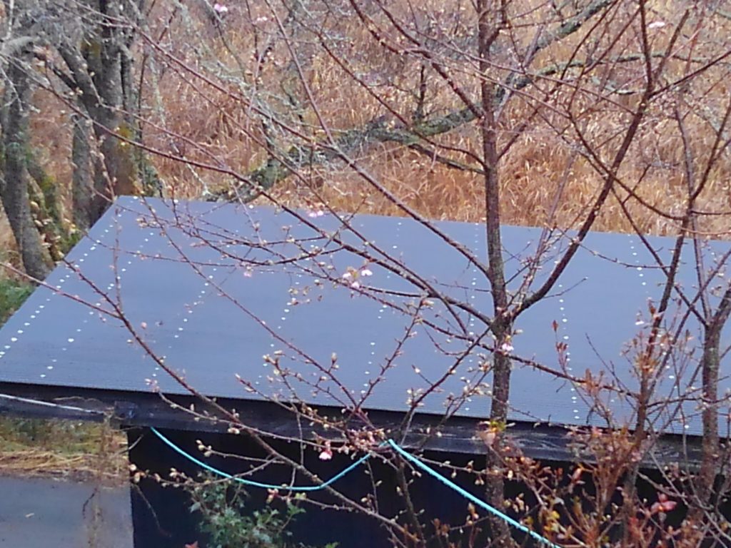 sakura-1024x768 春雨じゃ濡れて参ろう