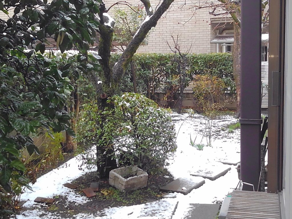 KIMG4256-1024x768 今朝の東京は雪でした