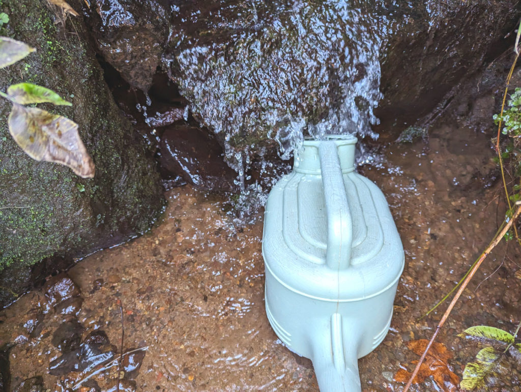 PXL_20240316_053217889-1024x771 小さな春、見つけた