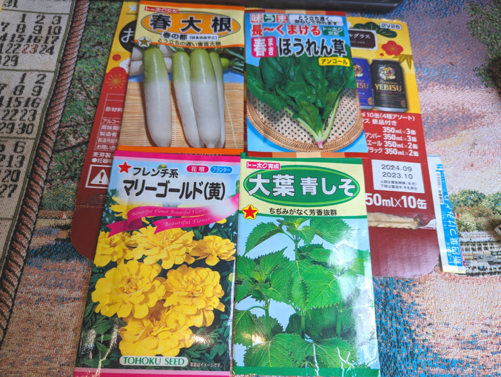 PXL_20240316_060334366-1024x771 小さな春、見つけた