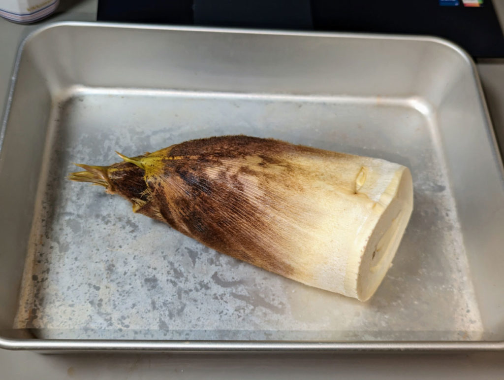 PXL_20240410_104251995-1024x771 筍の初収穫