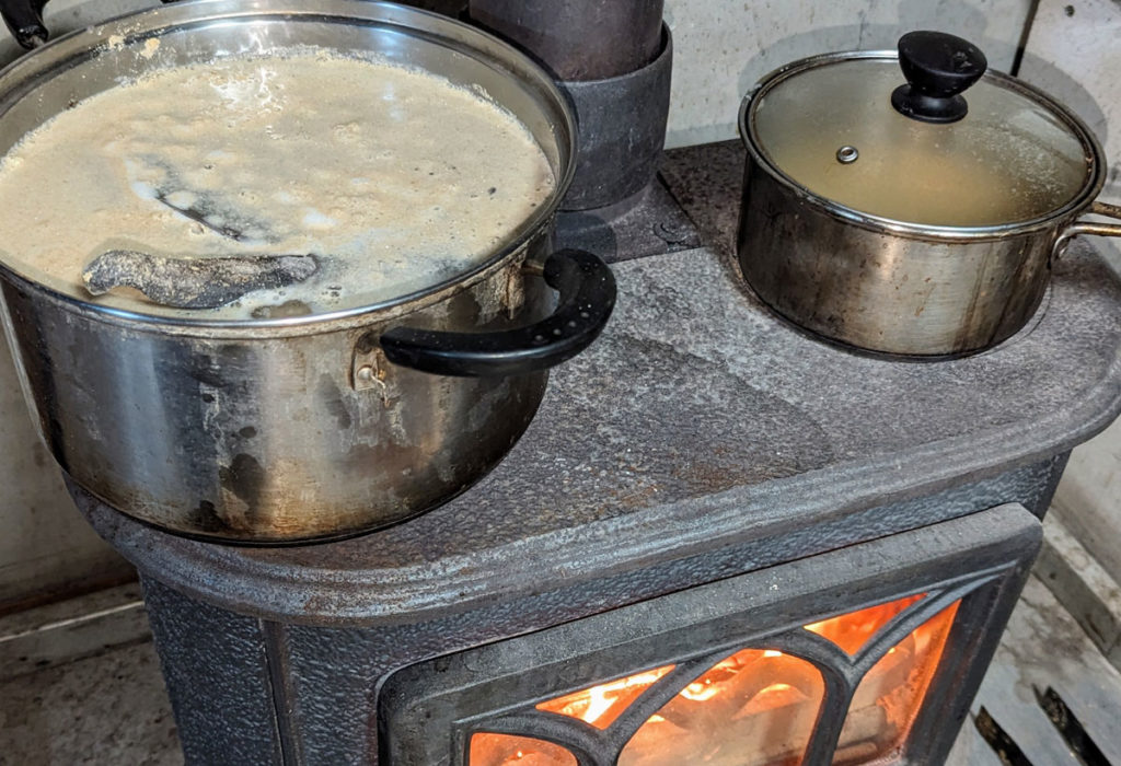 PXL_20240410_114339237-1024x700 筍の初収穫