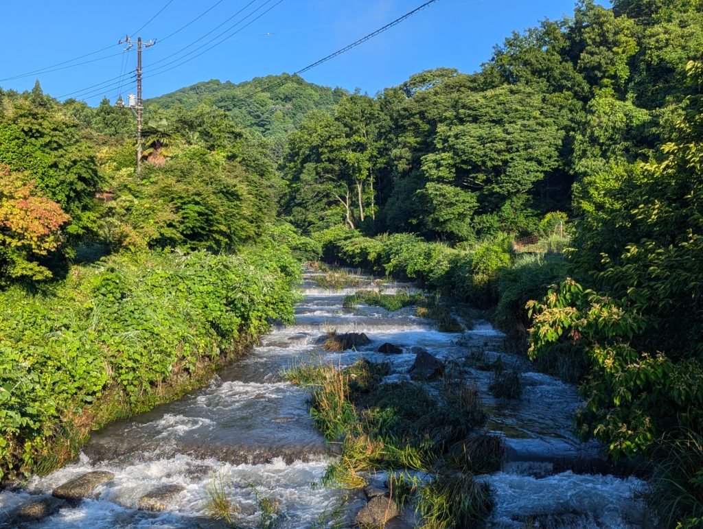 PXL_20240618_204802436.MP_-1024x771 豪雨一過（皐月晴れ）