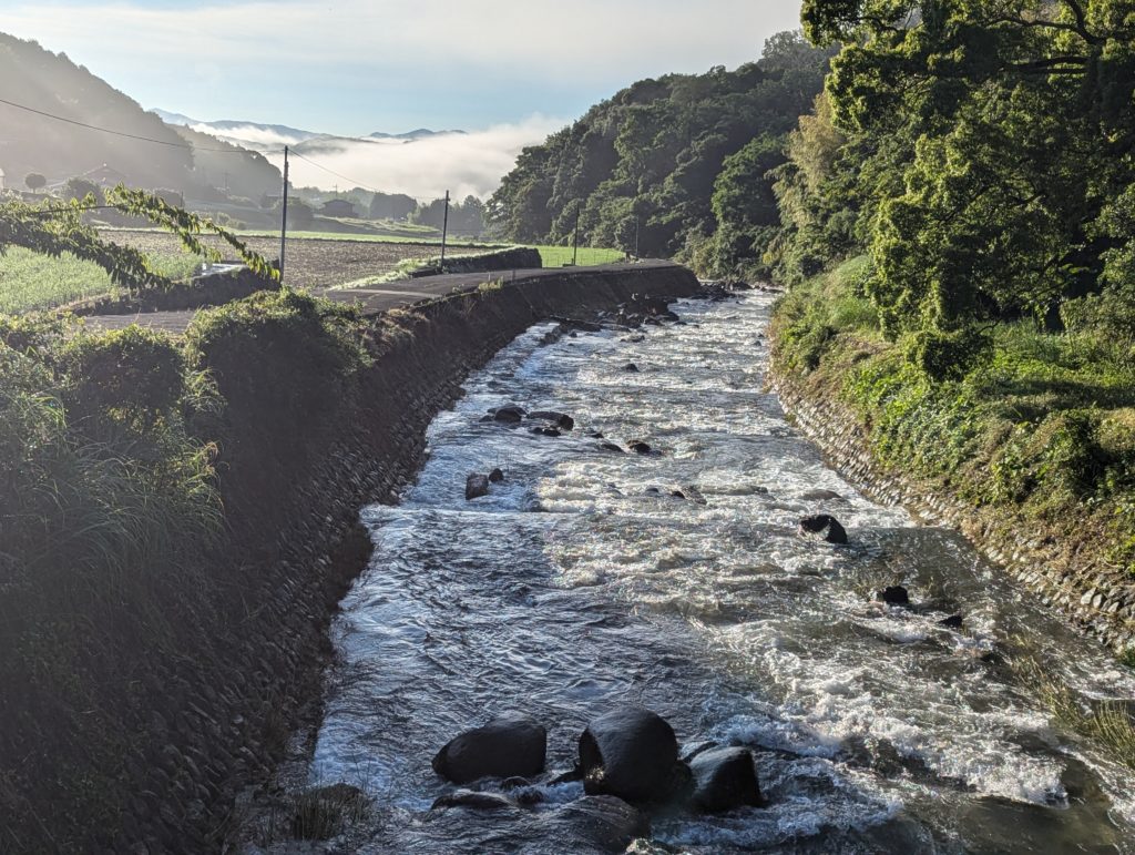 PXL_20240618_205324647.MP_-1024x771 豪雨一過（皐月晴れ）