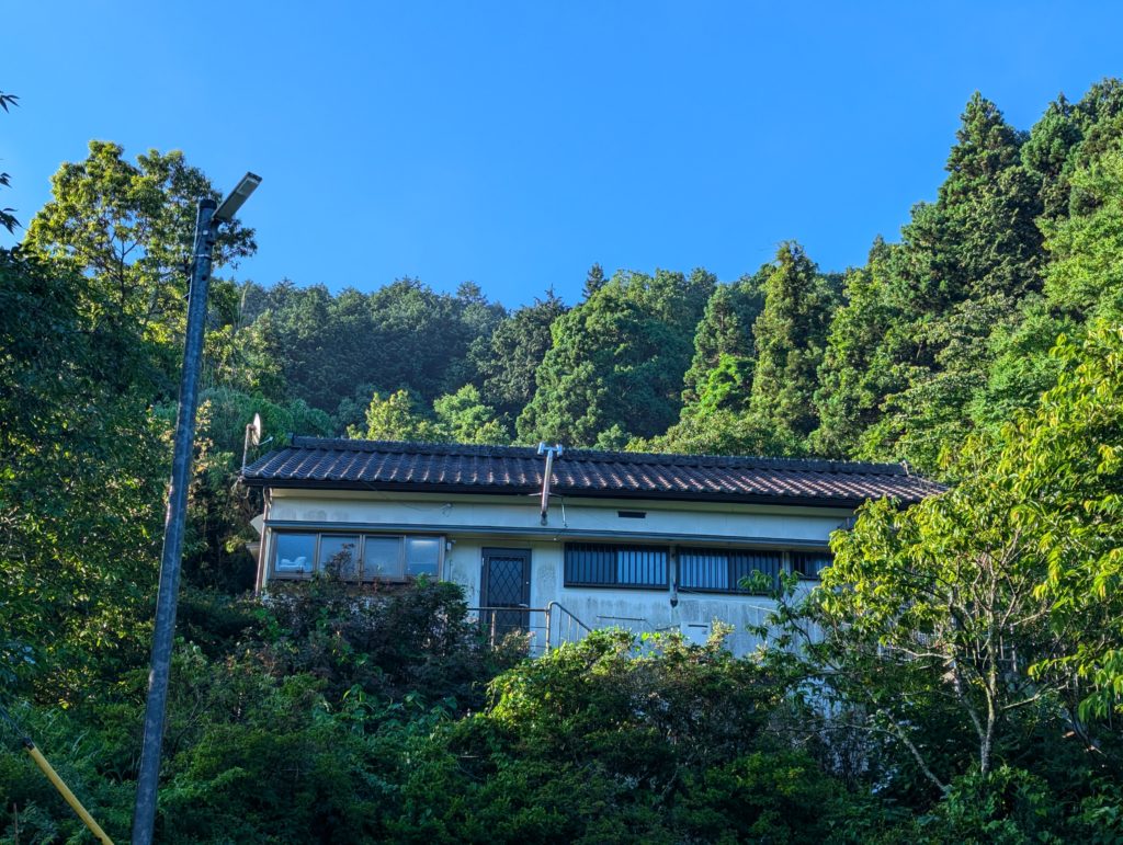 PXL_20240618_205650831.MP_-1024x771 豪雨一過（皐月晴れ）