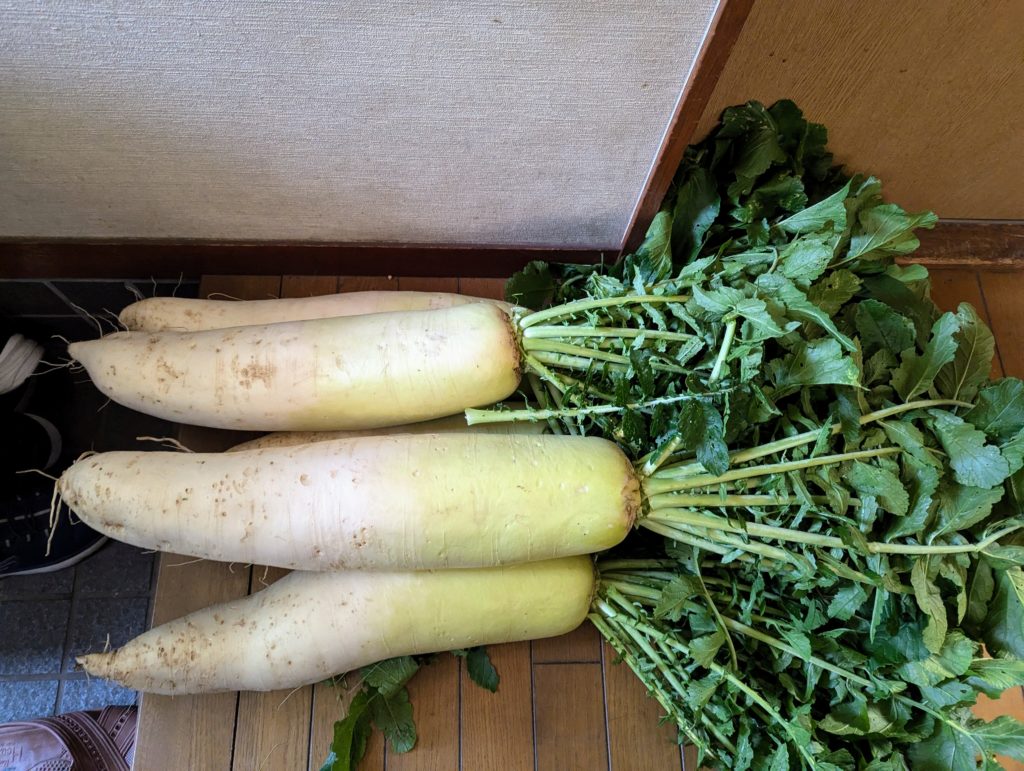 PXL_20240619_041722224.MP_-1024x771 豪雨一過（皐月晴れ）