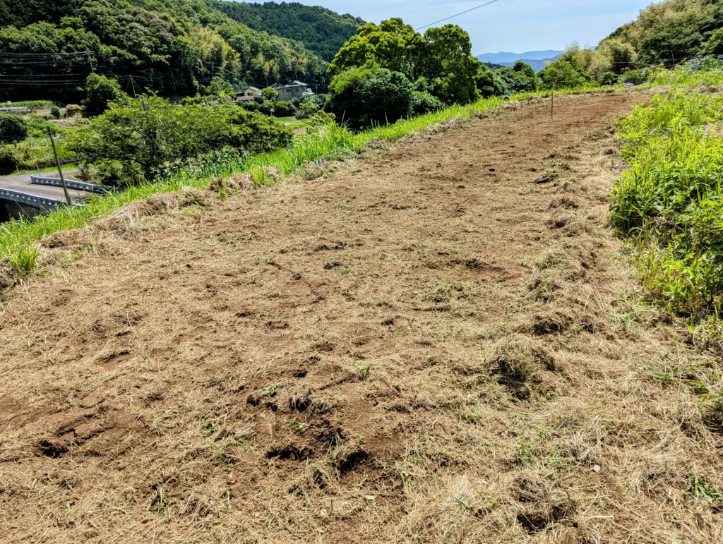 kusa-satuma-1024x771 梅雨入り？