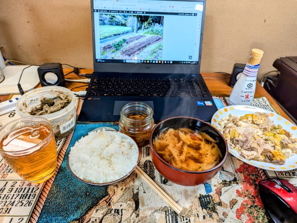 PXL_20241012_113943805-EDIT-1024x771 秋冬野菜の種蒔きは概ね完了