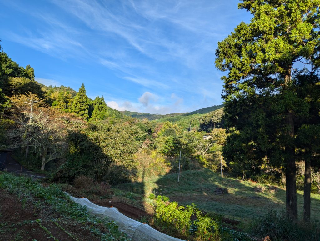 asa-kai-1024x771 秋冬野菜の生育状況