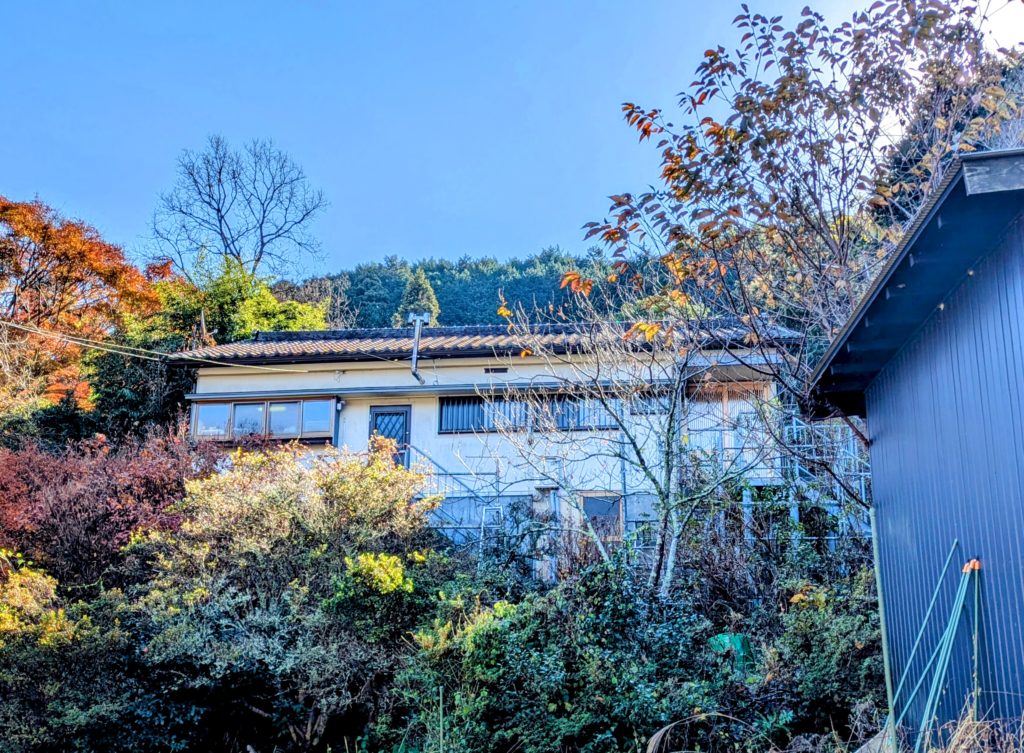 PXL_20241211_021010587.MP2-EDIT-2-1024x753 初霜