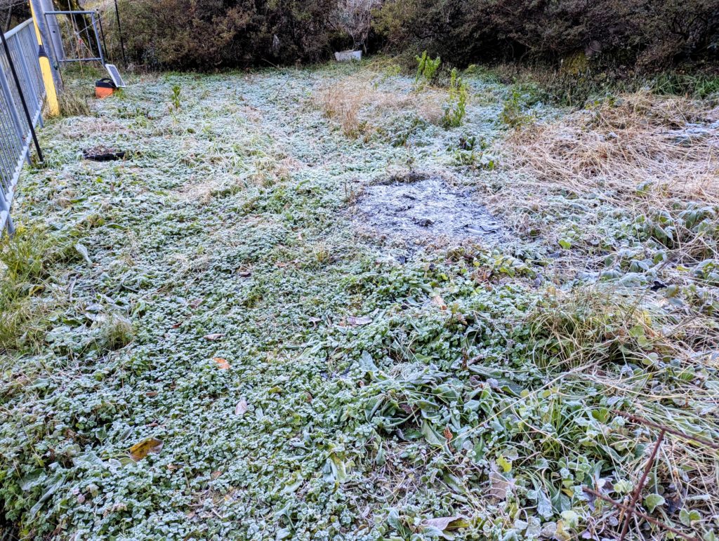 PXL_20241222_231306072.MP2_-1024x771 降霜＆木枯らし