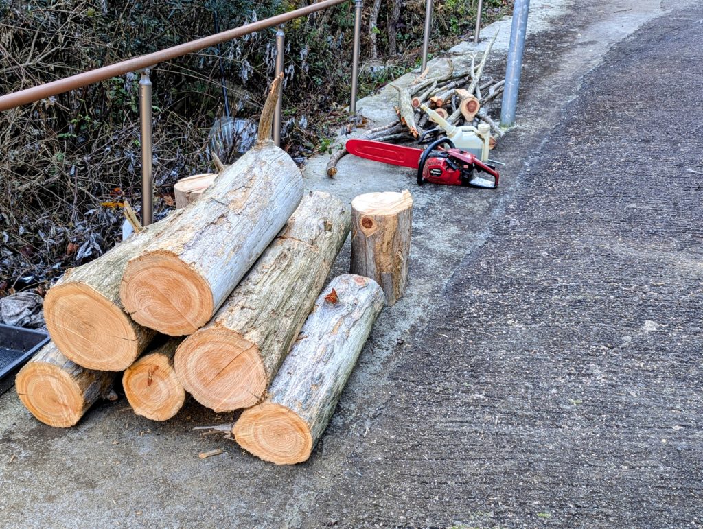 PXL_20241223_022641141.MP2_-1024x771 降霜＆木枯らし