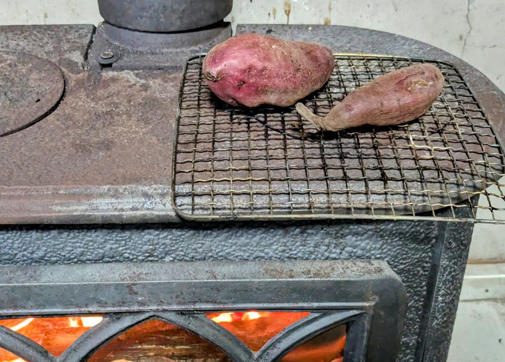 PXL_20241223_135258193.MP2-EDIT-1024x734 降霜＆木枯らし