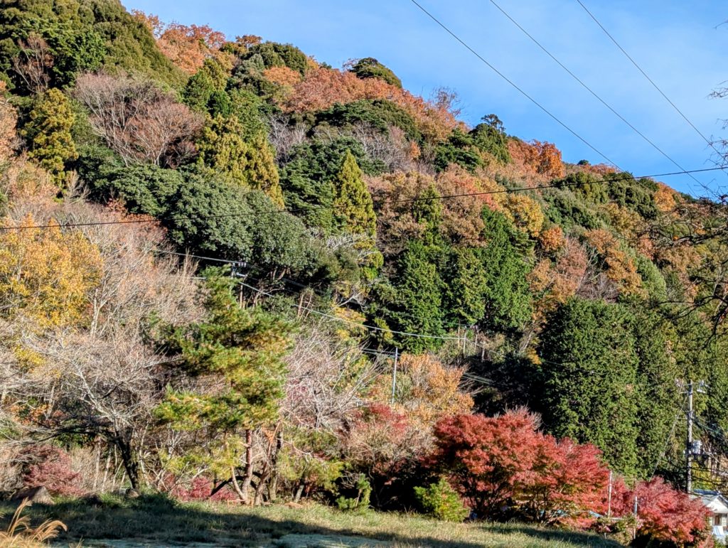 景色-1024x771 初霜