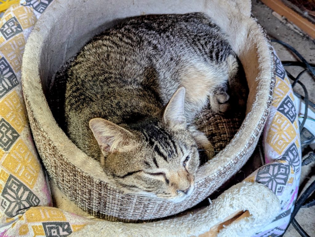 PXL_20250118_041156916.MP-EDIT-1024x771 第２，第３の「頂き女子りりちゃん」に注意！