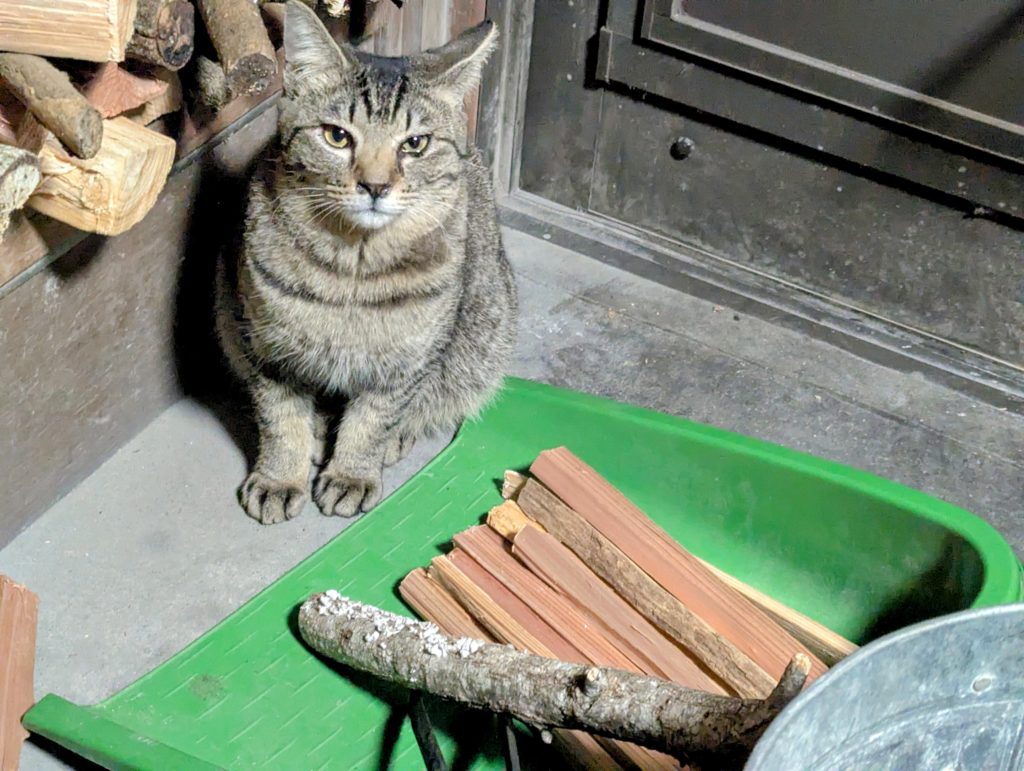 PXL_20250118_090950379.MP-EDIT-1024x771 第２，第３の「頂き女子りりちゃん」に注意！