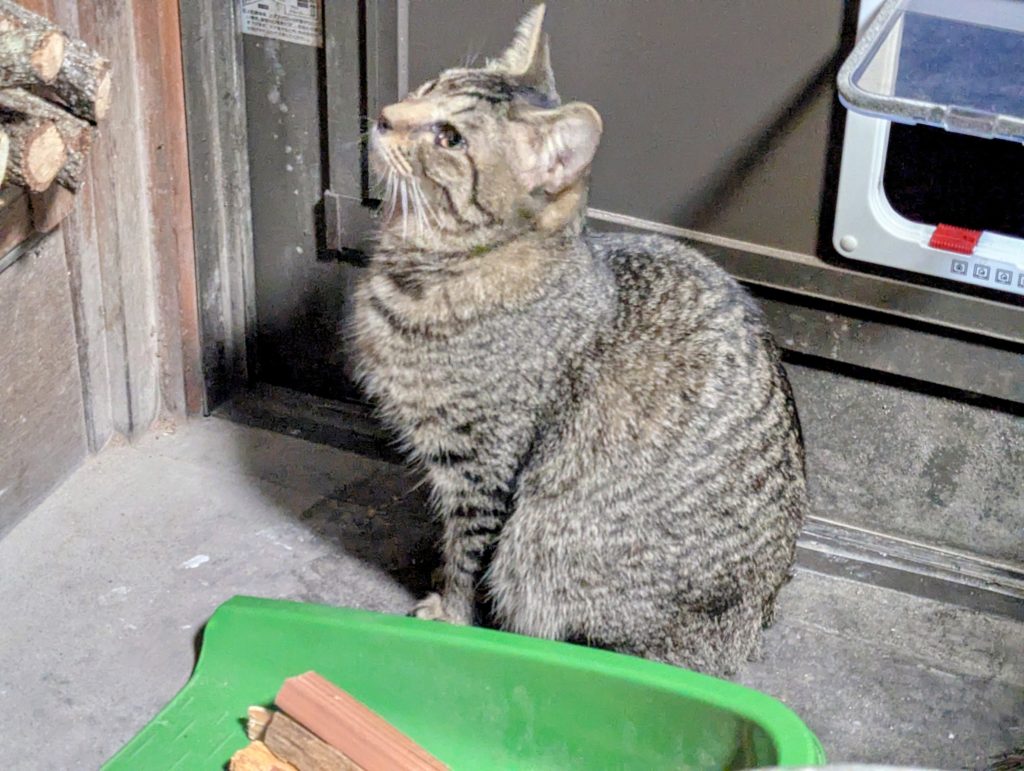 PXL_20250118_091136575.MP-EDIT-1024x771 第２，第３の「頂き女子りりちゃん」に注意！