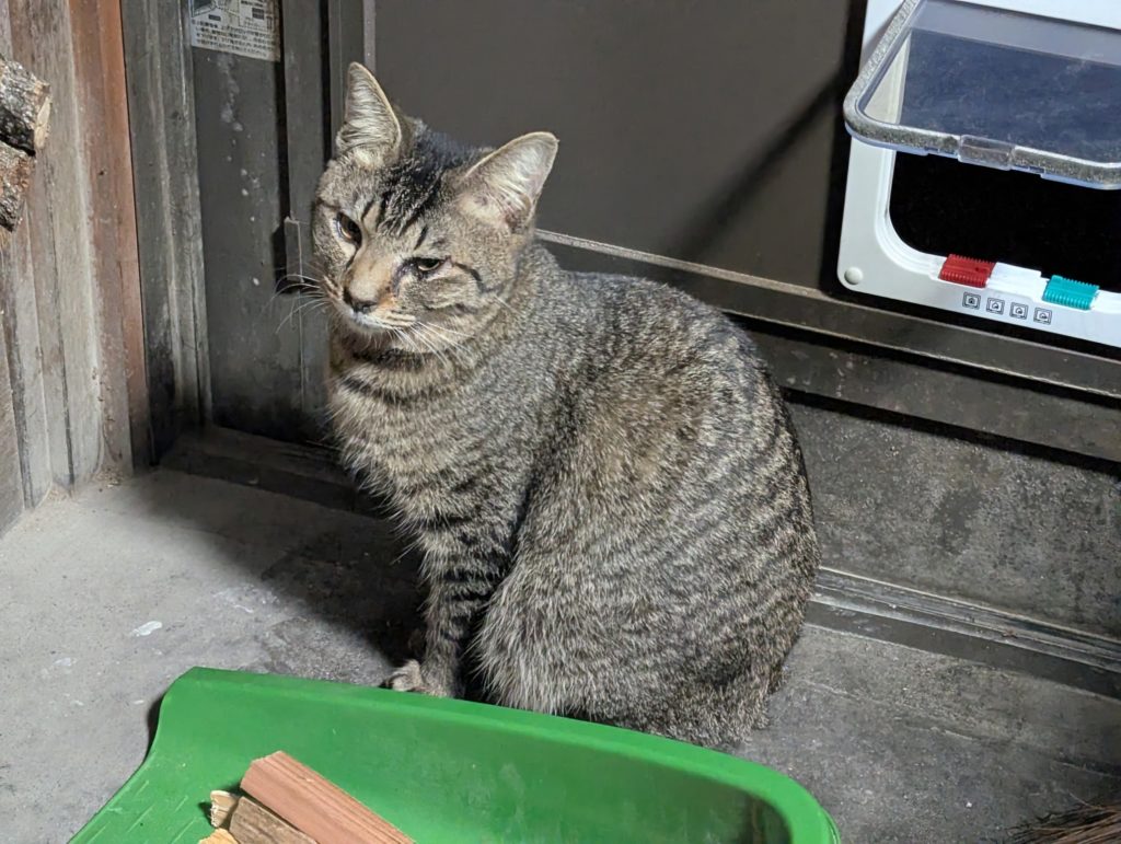 PXL_20250118_091146764.MP2_-1024x771 第２，第３の「頂き女子りりちゃん」に注意！