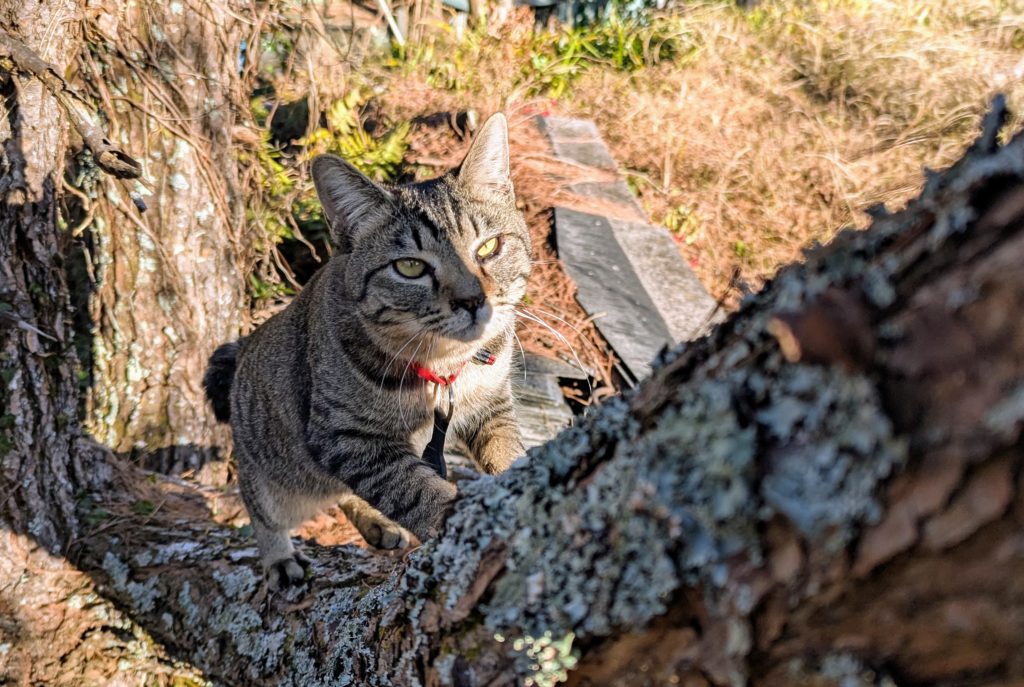 PXL_20250124_060023673.MP_-1024x687 修善寺ベースへ戻りました