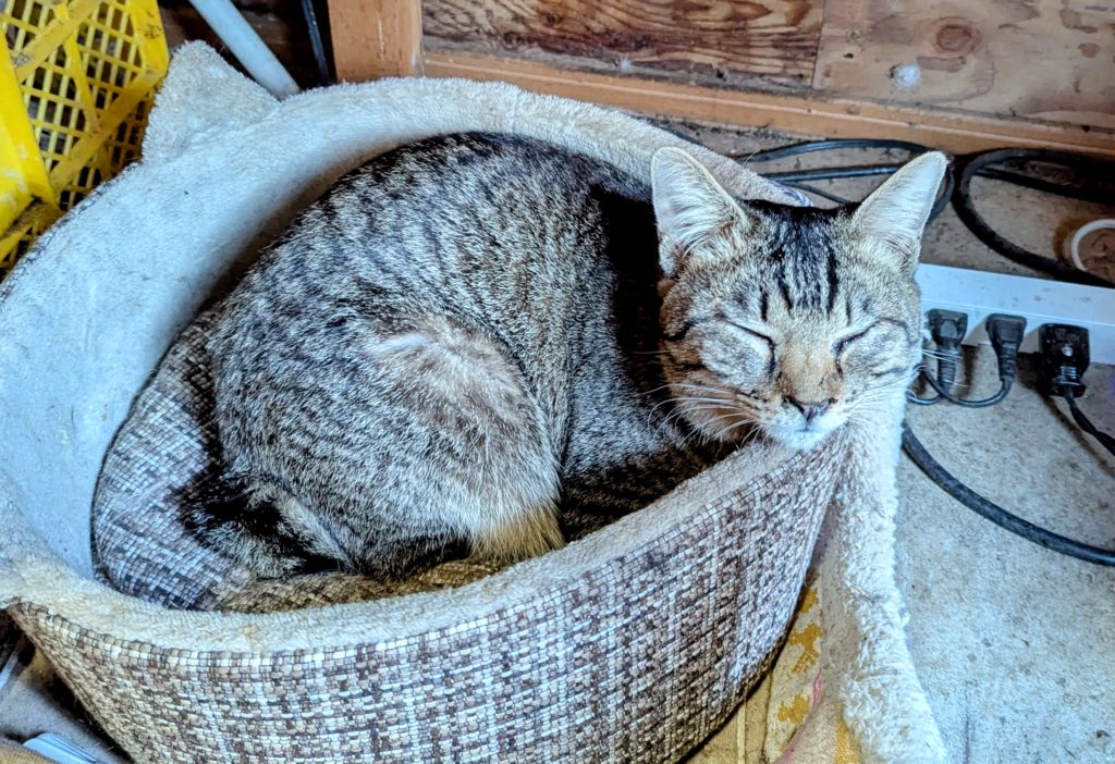 PXL_20250124_063817387.MP-EDIT-1-1024x702 修善寺ベースへ戻りました