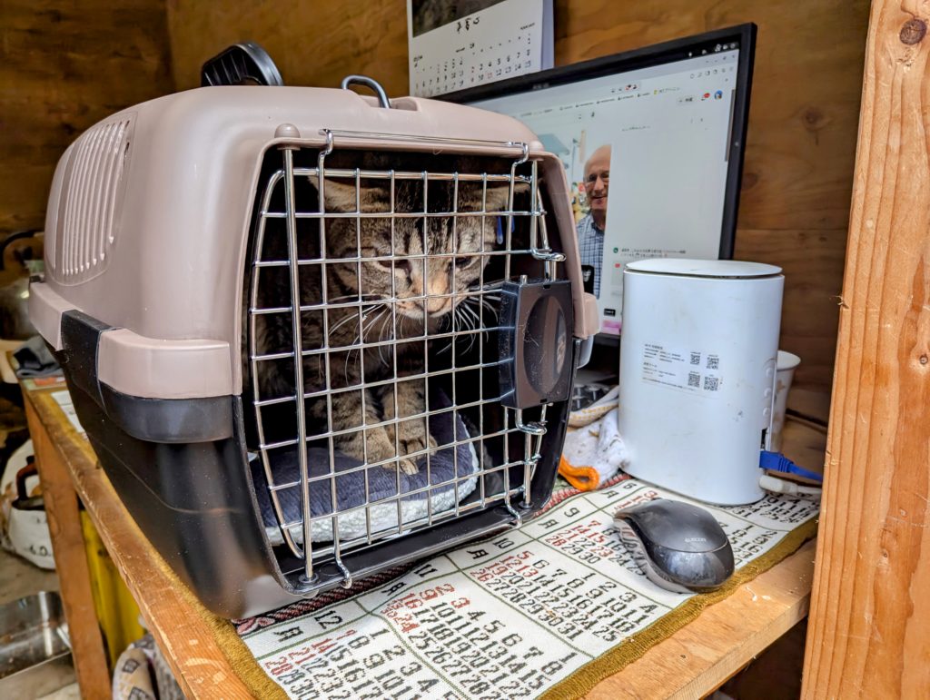 猫２-1024x771 ペット用キャリーケース