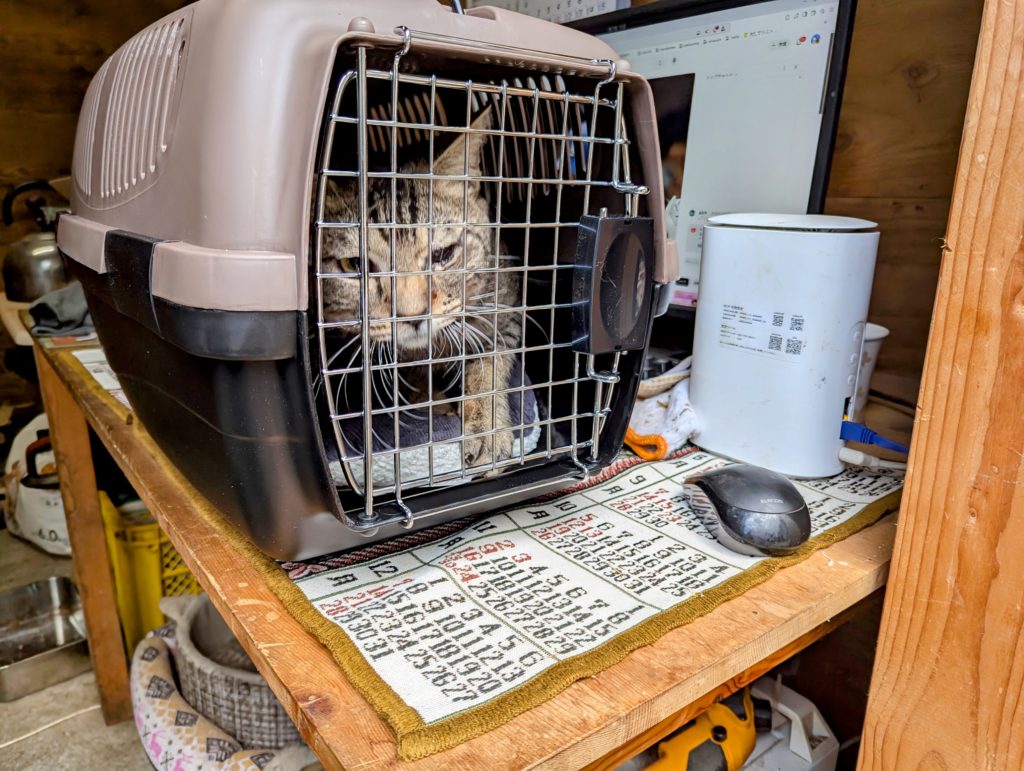 猫３-1024x771 ペット用キャリーケース