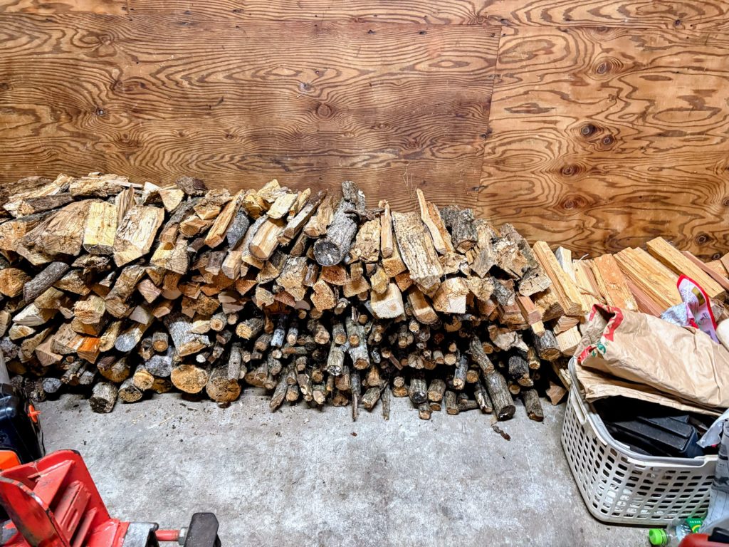 IMG_0893-Copy-1024x768 太郎の散歩