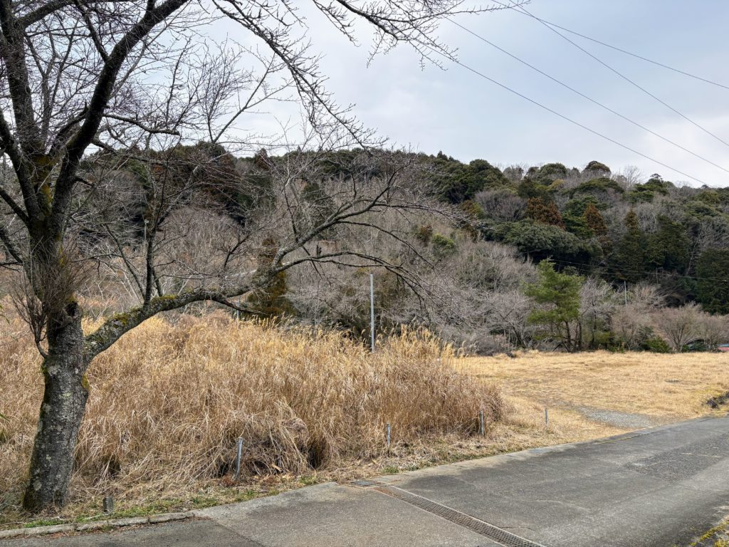 IMG_0941-1024x768 二月期愛好会はキャンセル