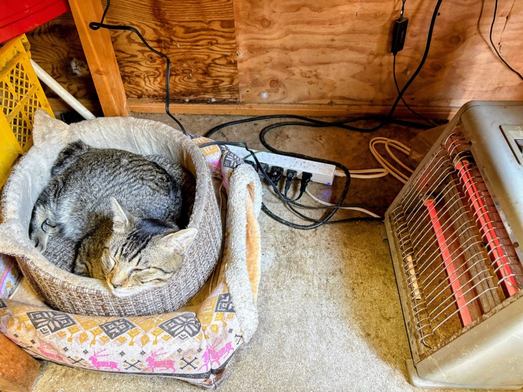 IMG_0945-Copy-1024x768 二月期愛好会はキャンセル