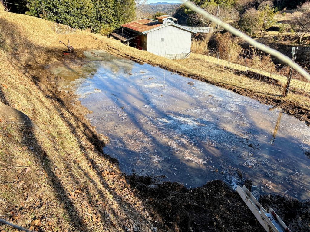 IMG_1009-EDIT-1024x768 今年から稲作を始めます