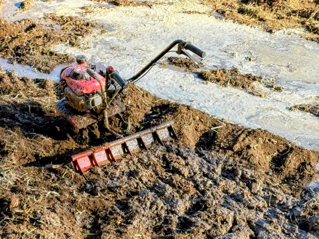 IMG_1010-Copy-EDIT-1024x768 今年から稲作を始めます