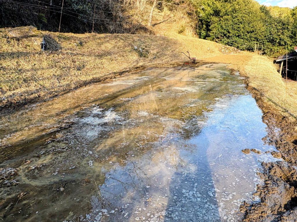 IMG_1015-Copy-EDIT-1024x768 今年から稲作を始めます