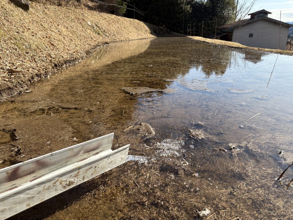 IMG_1079-1024x768 また、木こりを始めました