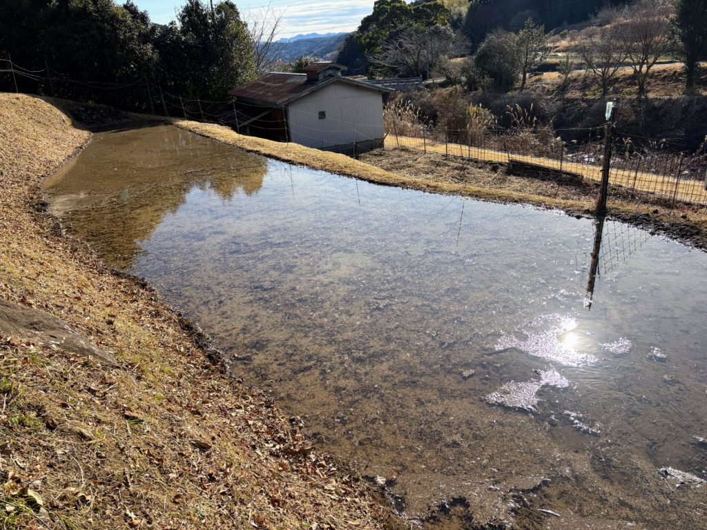 IMG_1080-1024x768 また、木こりを始めました