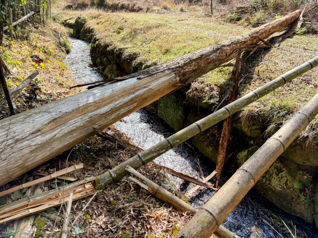 IMG_1083-EDIT-1024x768 また、木こりを始めました