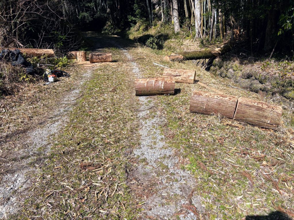 IMG_1084-1024x768 また、木こりを始めました