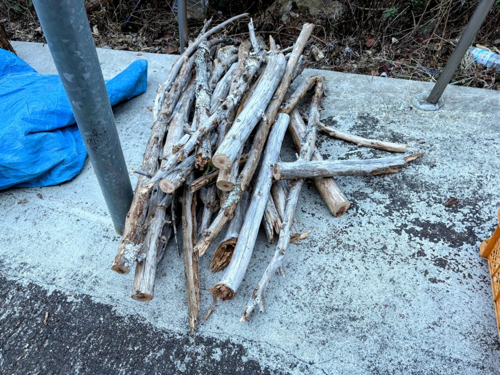 IMG_1102-EDIT-1024x768 また、木こりを始めました