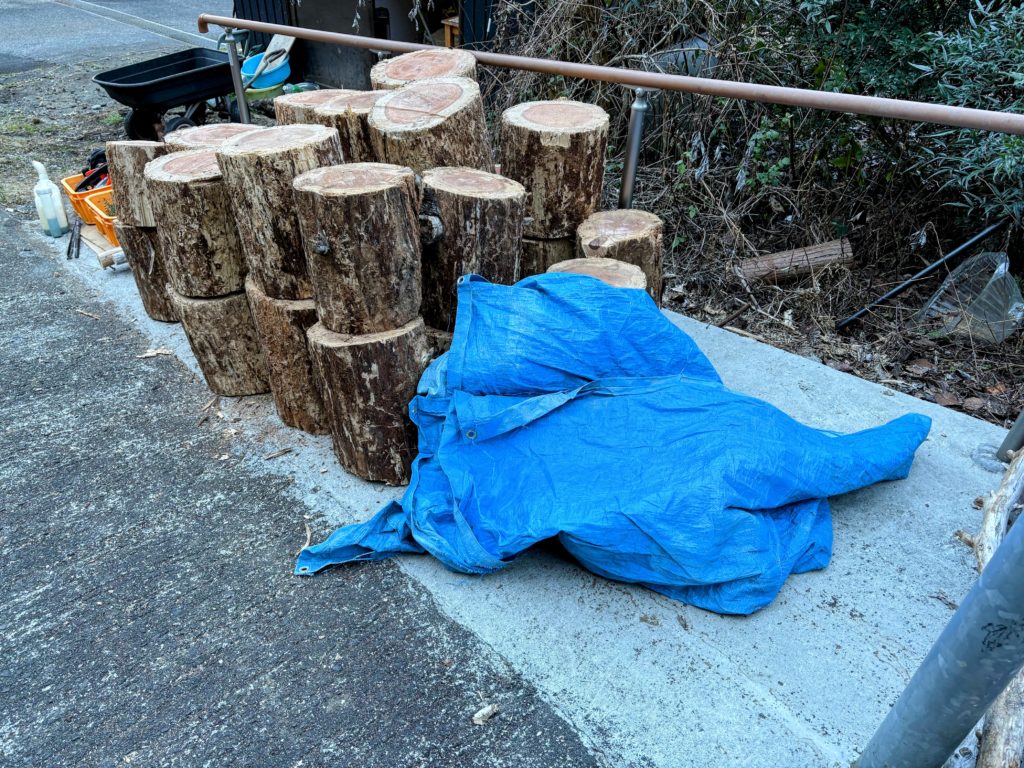 IMG_1103-EDIT-1024x768 また、木こりを始めました