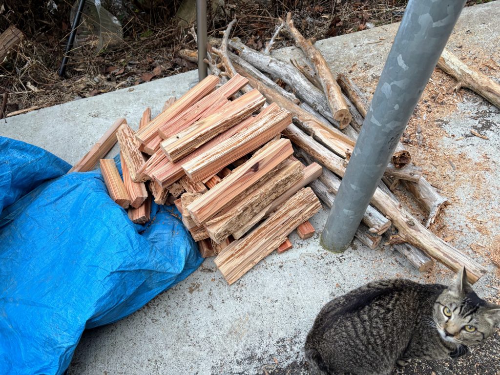 IMG_1105-1024x768 また、木こりを始めました