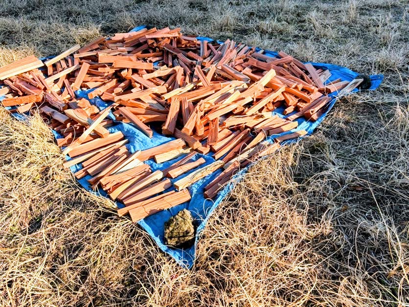 IMG_1204-Copy 今年の冬の寒さは異常でした